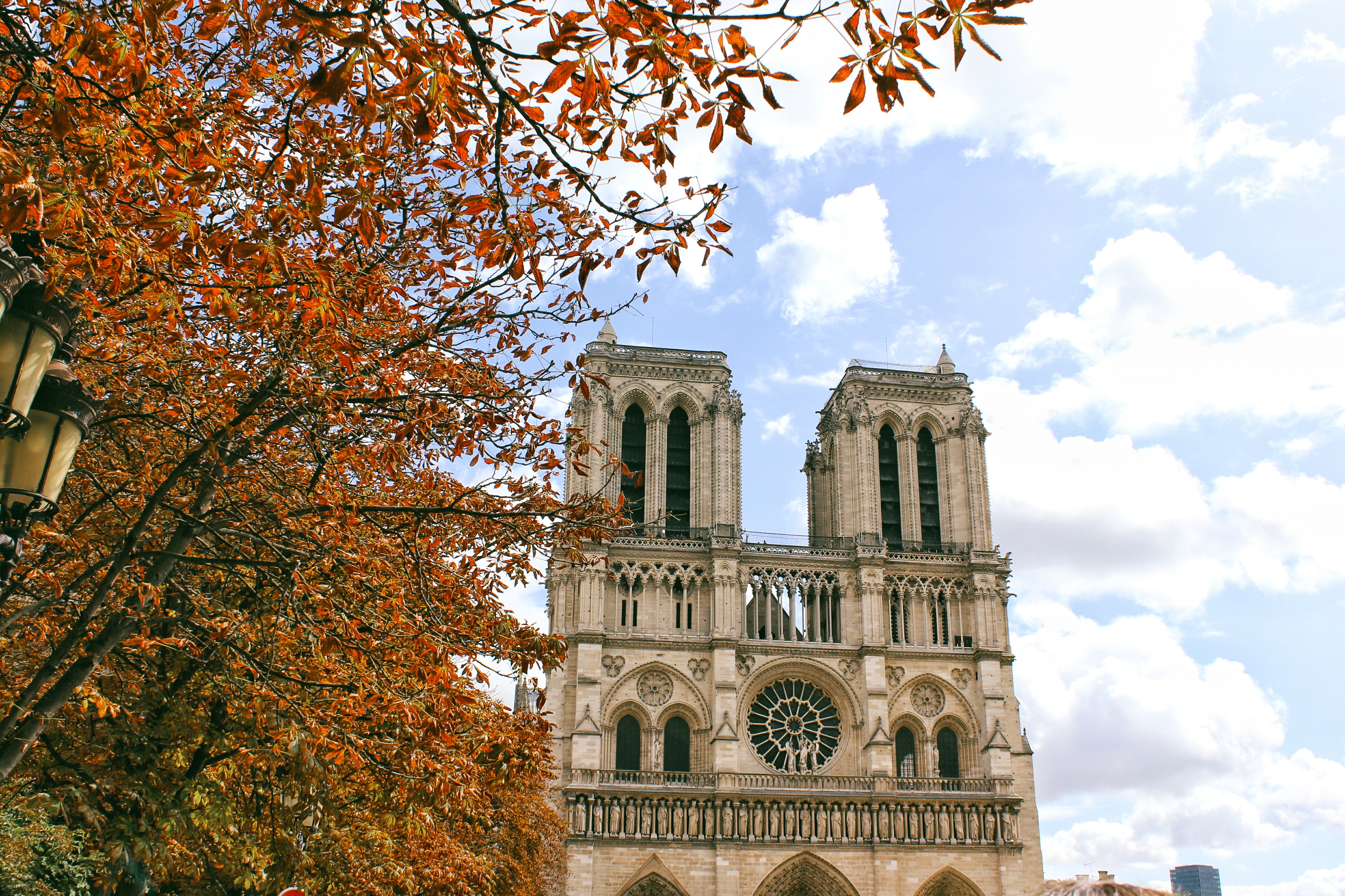 notre dame paris