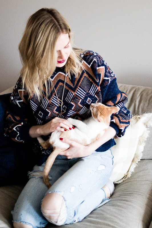 Today’s Guest Post: “Rescue In Style” + What Products I love for My Dogs