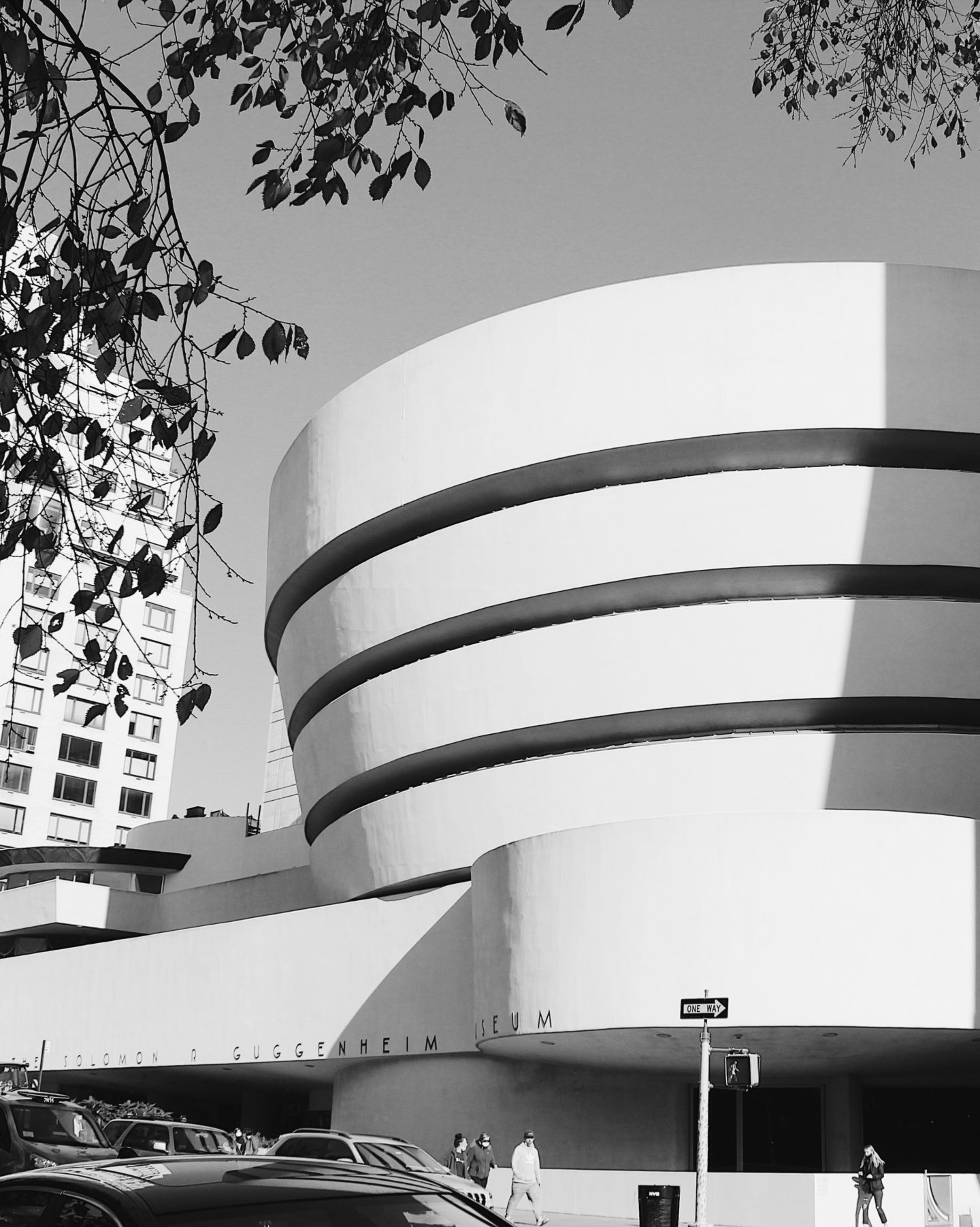 guggenheim museum