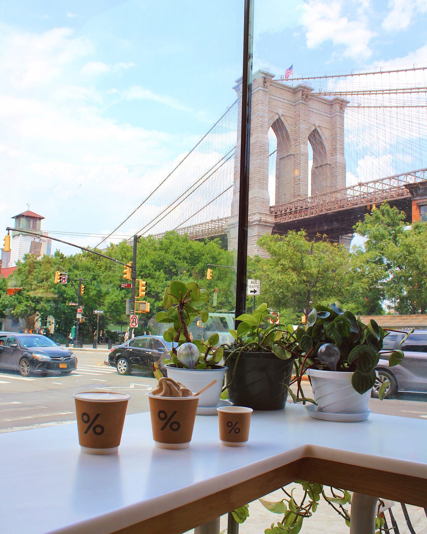 Arabica Dumbo Brooklyn