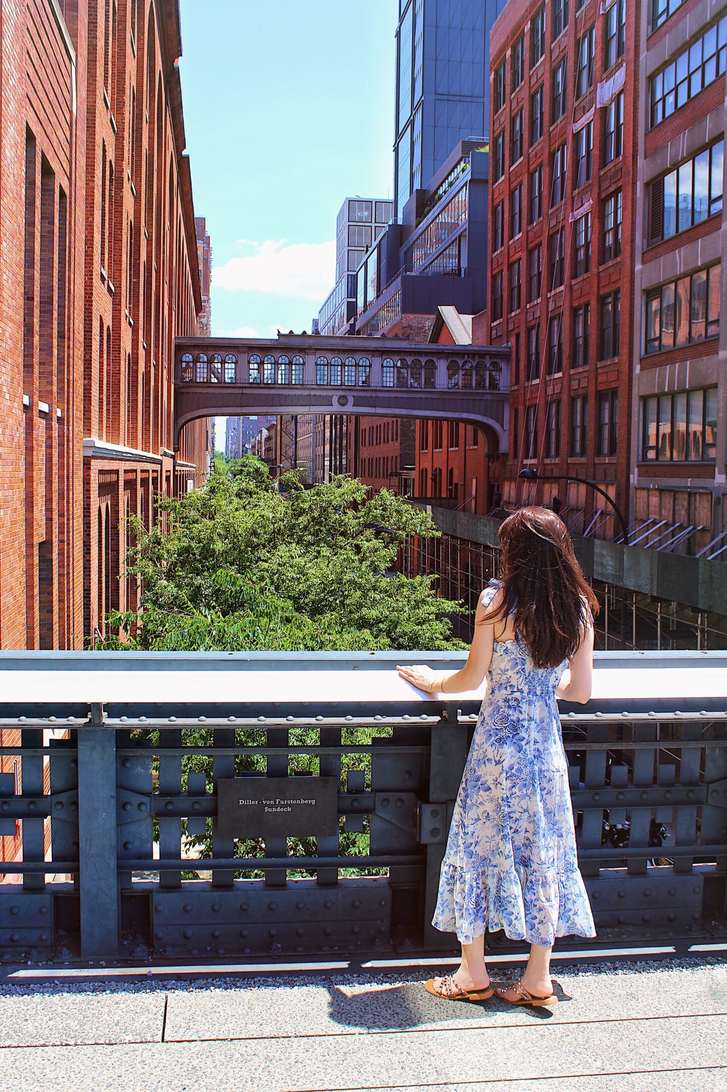 skybridge the high line nyc