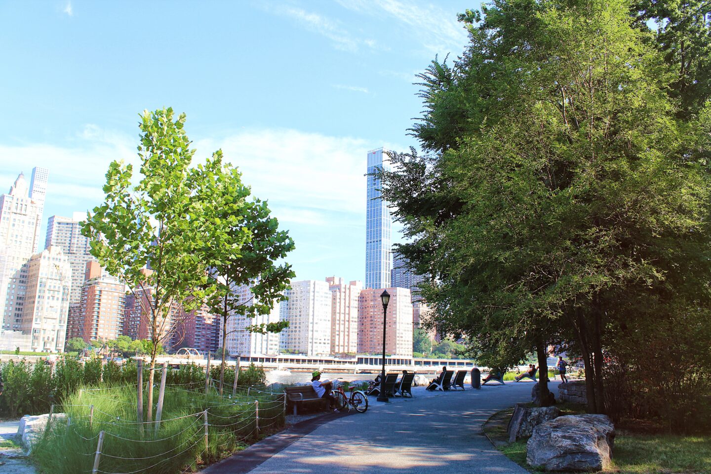 Roosevelt Island history