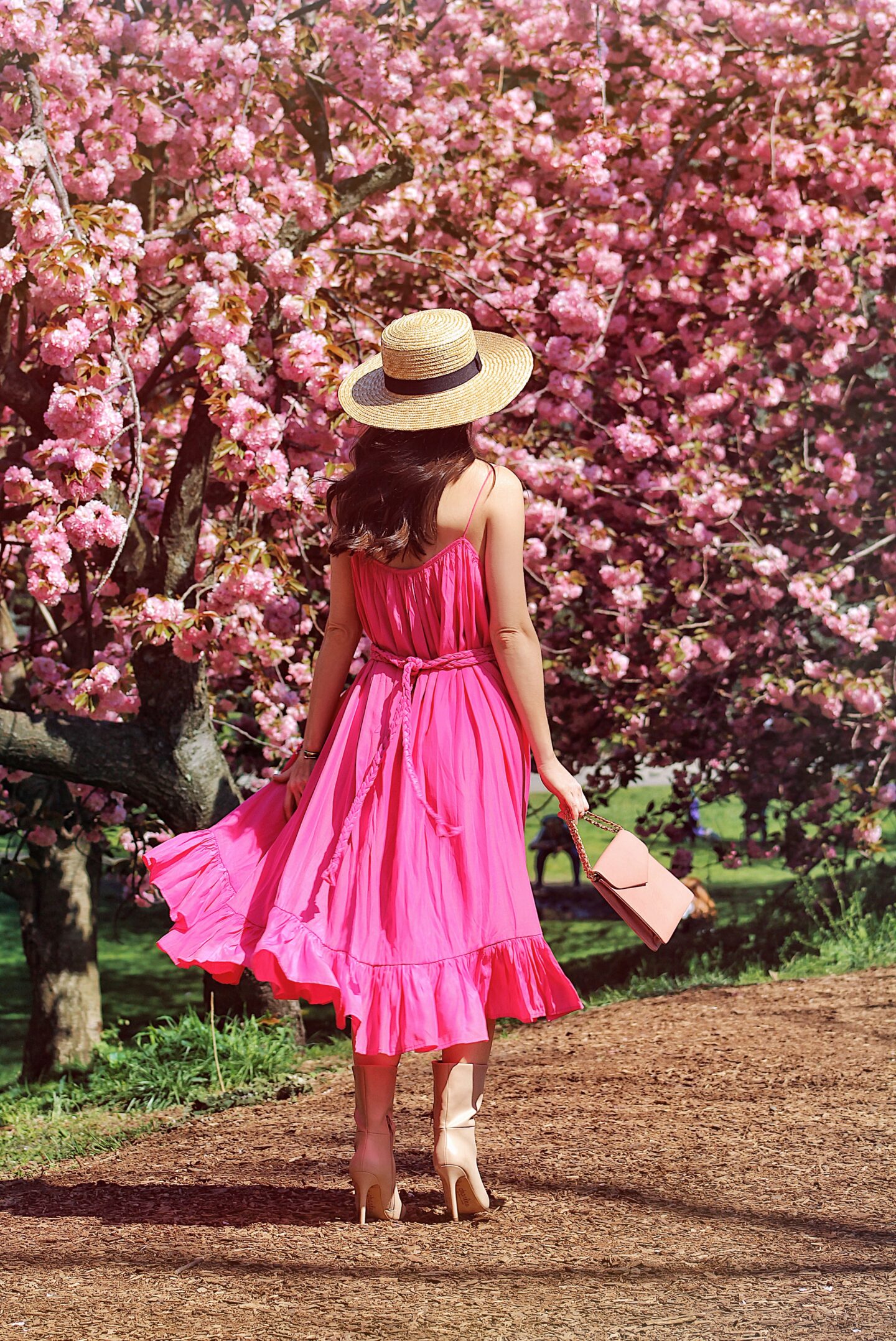 Best-cherry-blossoms-new-york