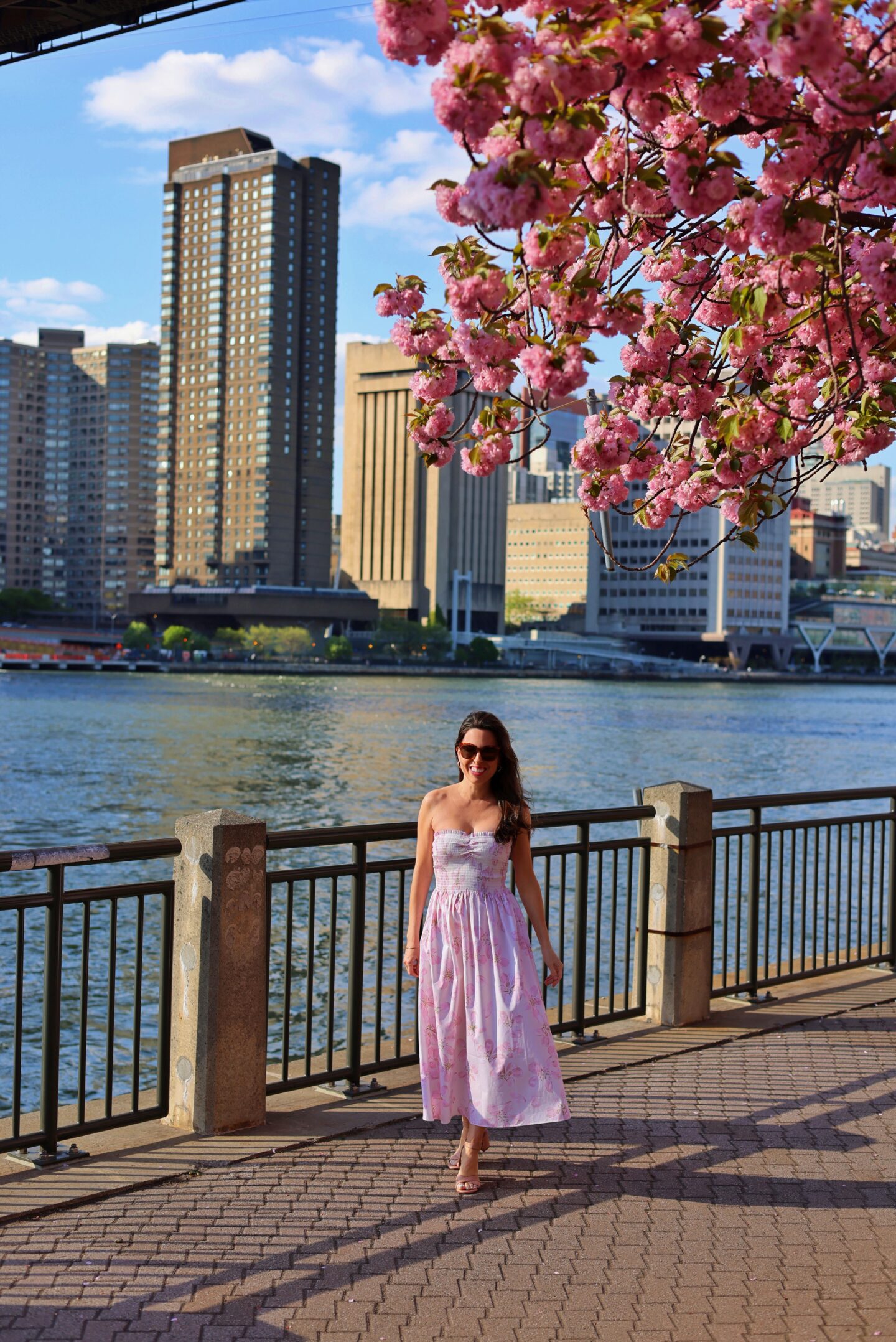 cherry-blossom-festival-new-york-city