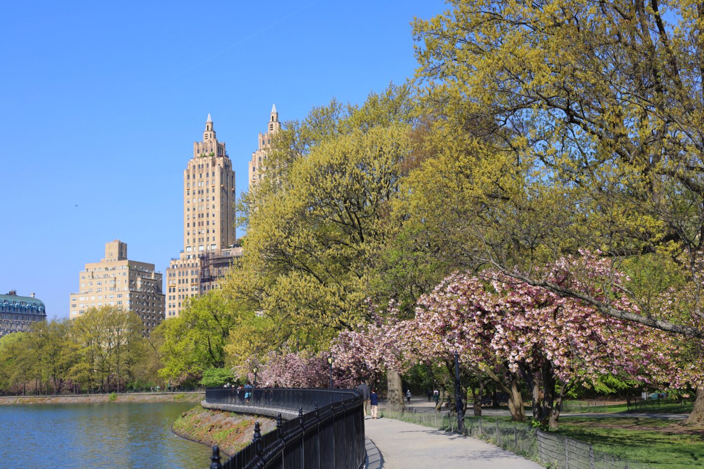 best-free-things-to-do-new-york-city