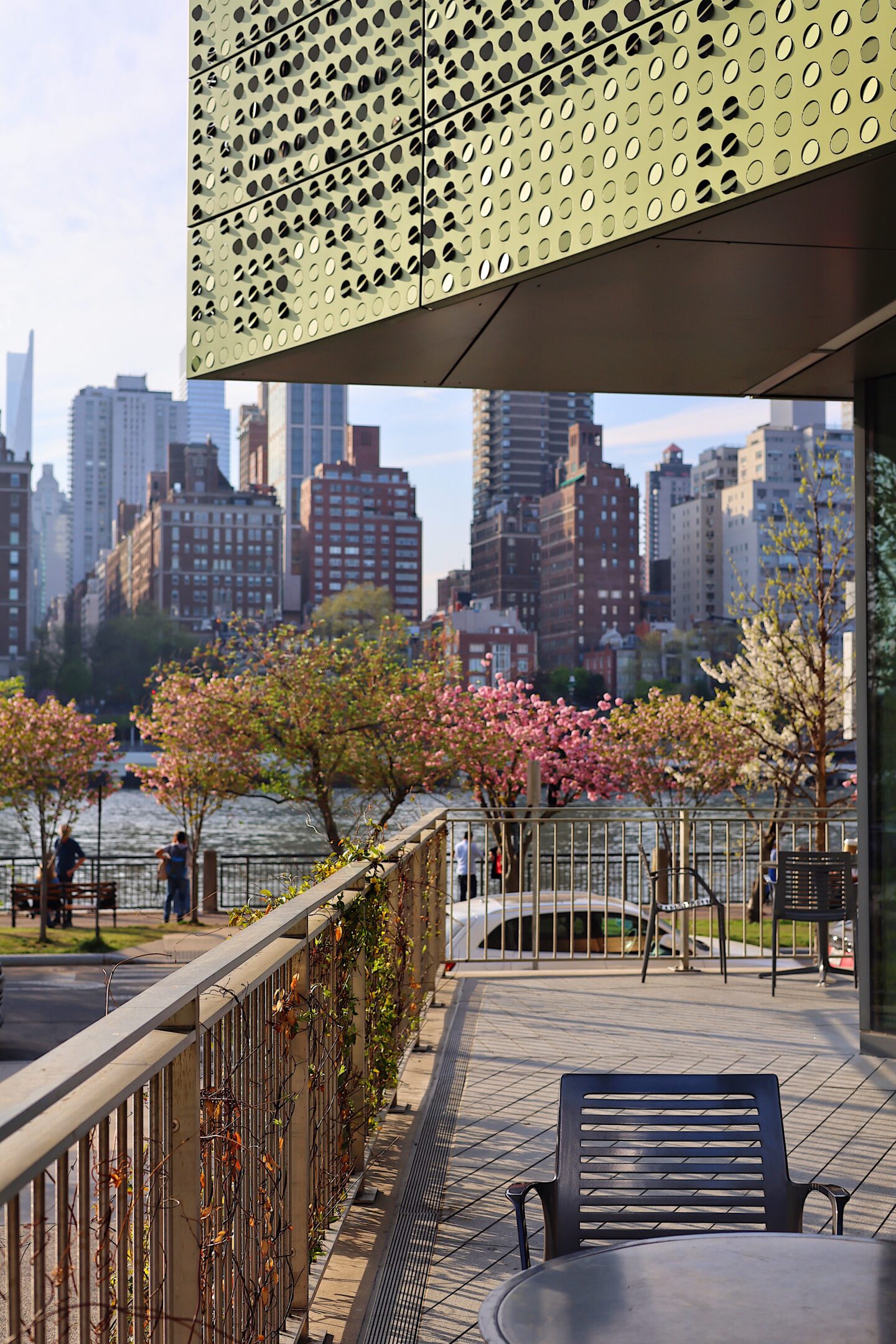 Cherry-Blossom-Festival-Roosevelt-Island