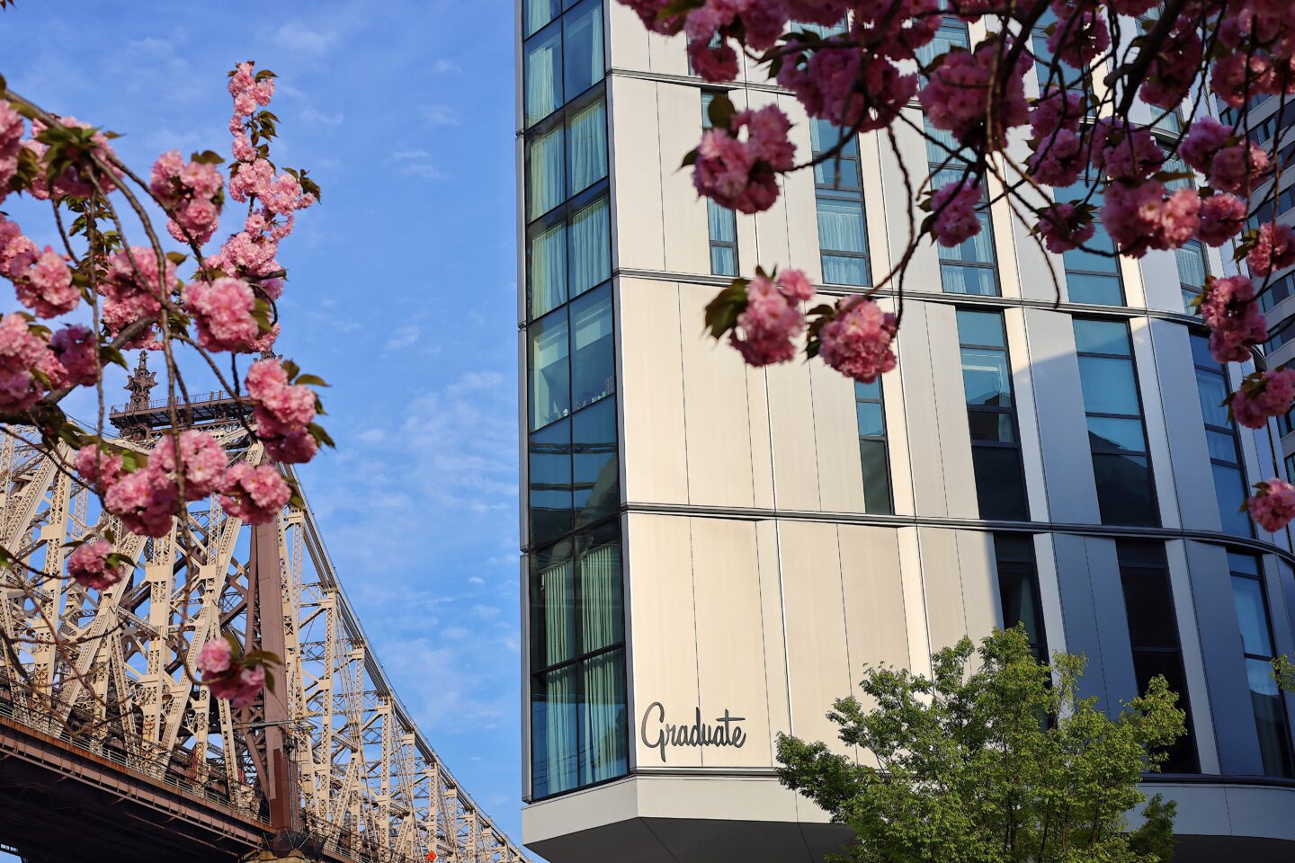 roosevelt-island-panorama-room-graduate-hotel