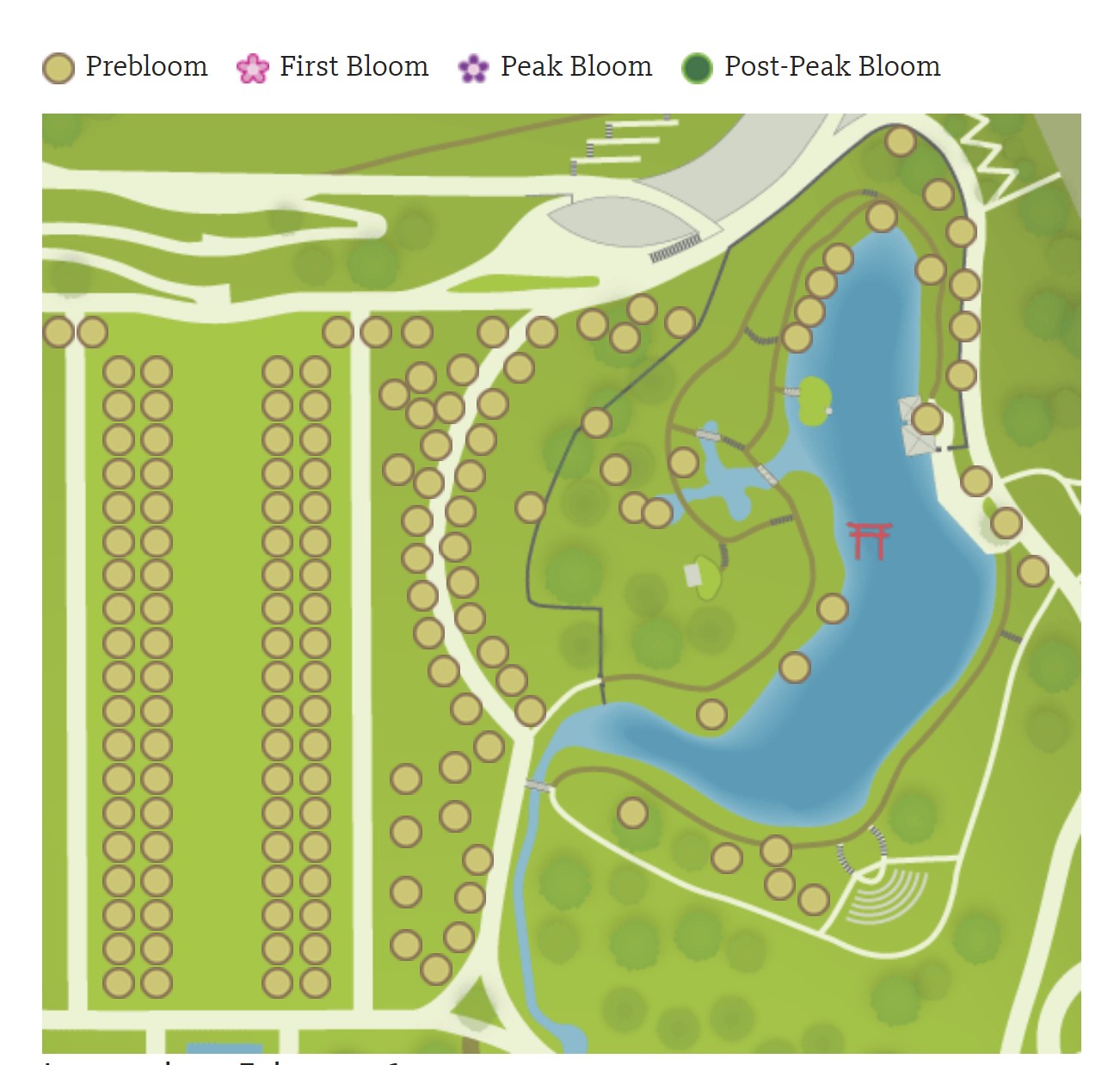 botanic garden cherry blossom map