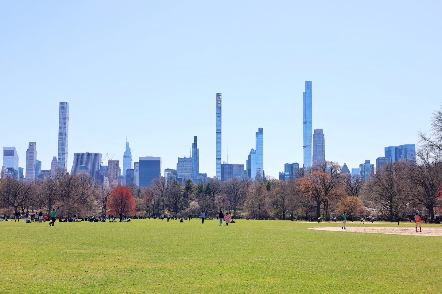 the-great-lawn-central-park