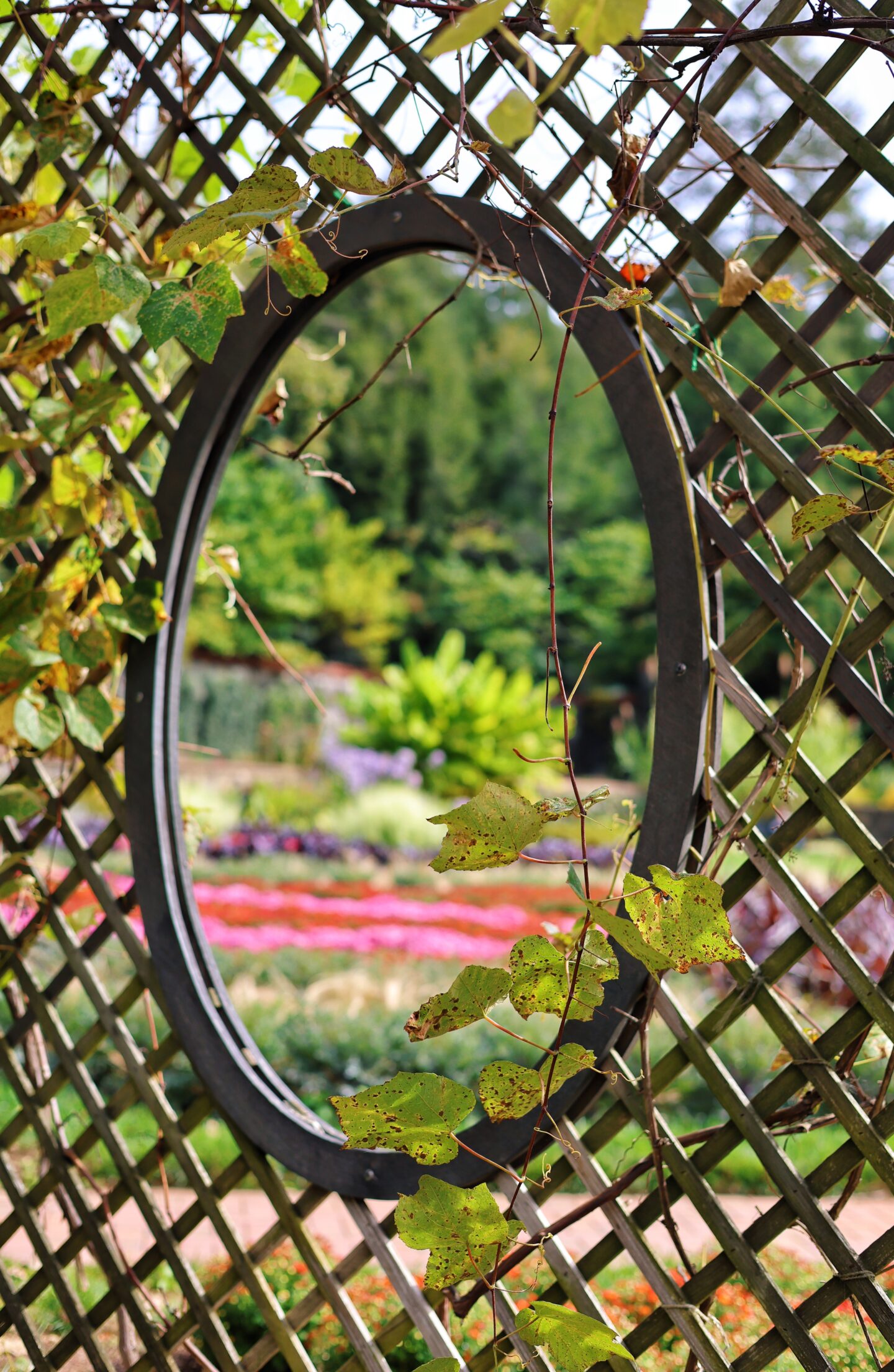 Biltmore-Estate-Asheville-NC-Gardens