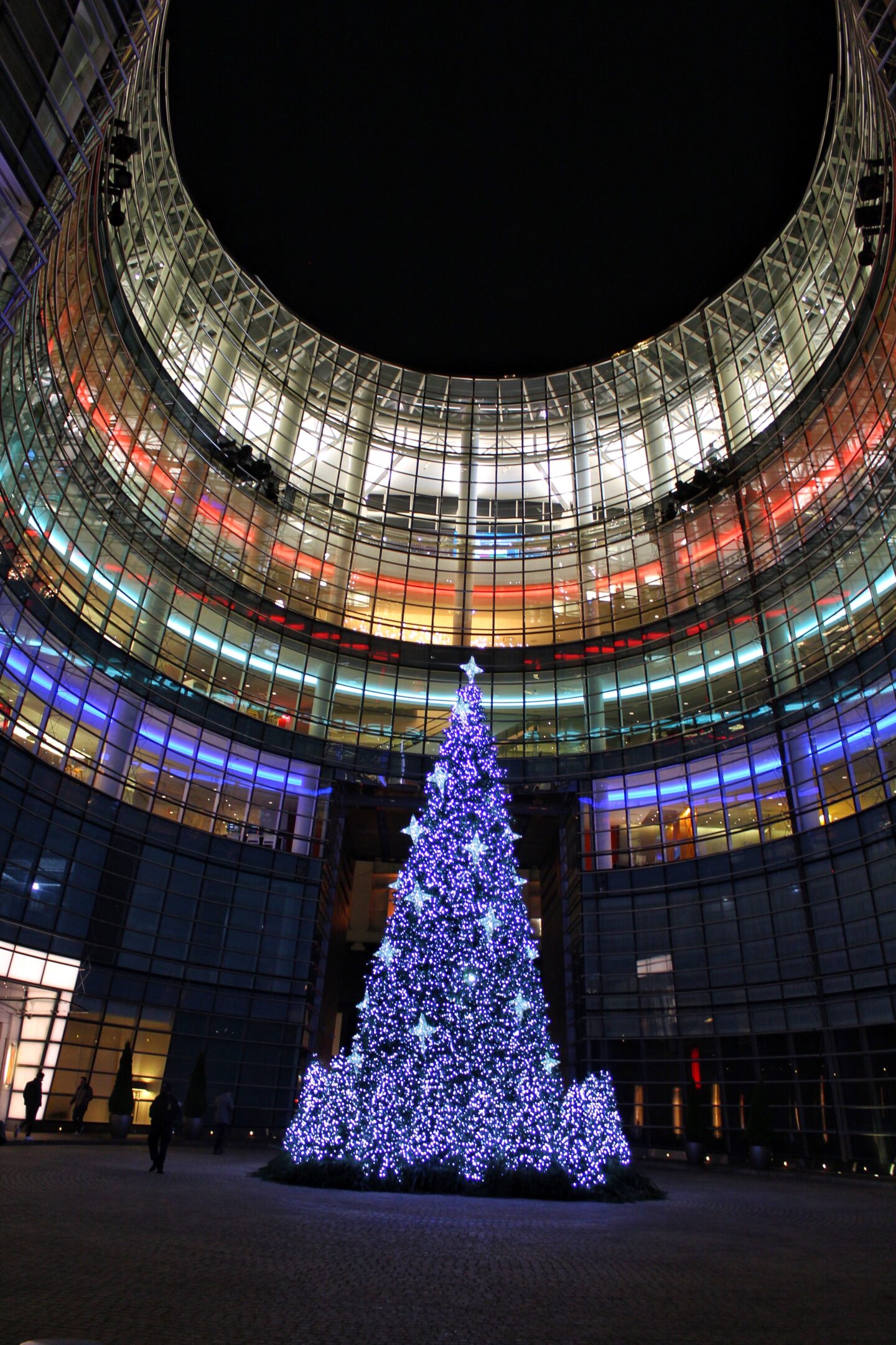 new-york-city-christmas-lights