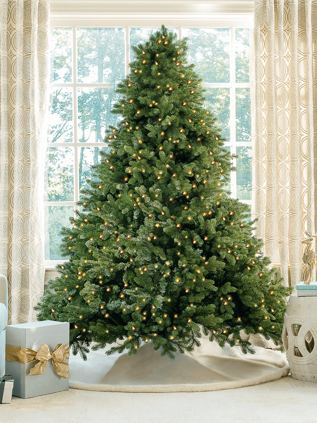 cypress-spruce-tree-king-of-christmas