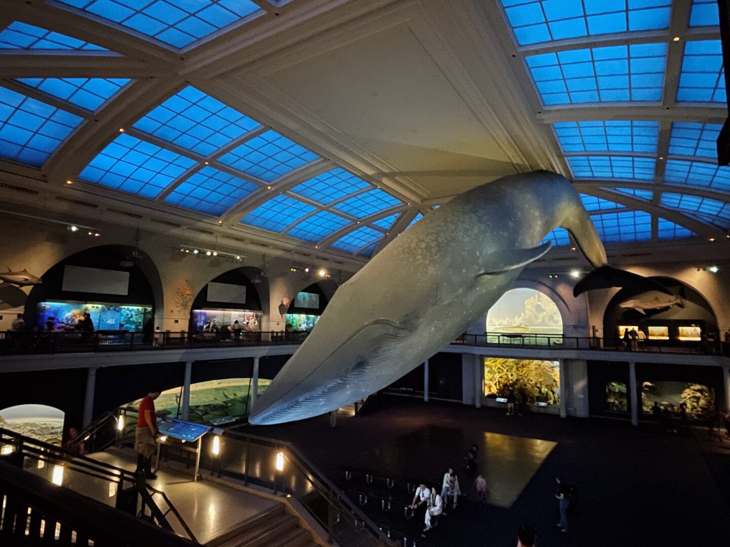 American-Museum-Natural-History-Tickets-Hours