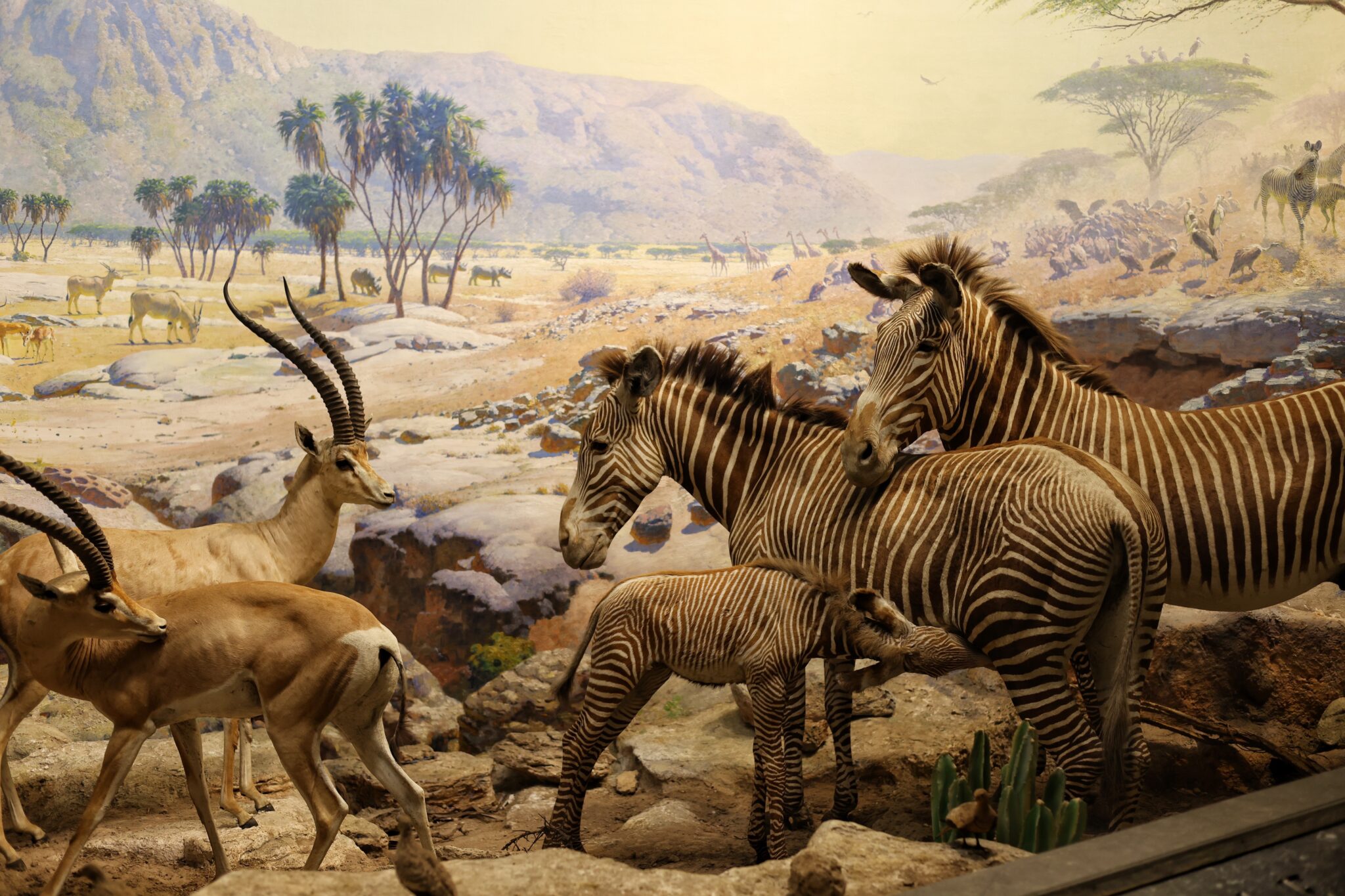 HOW MANY EXHIBITS ARE IN THE NATIONAL MUSEUM OF NATURAL HISTORY visual data 4