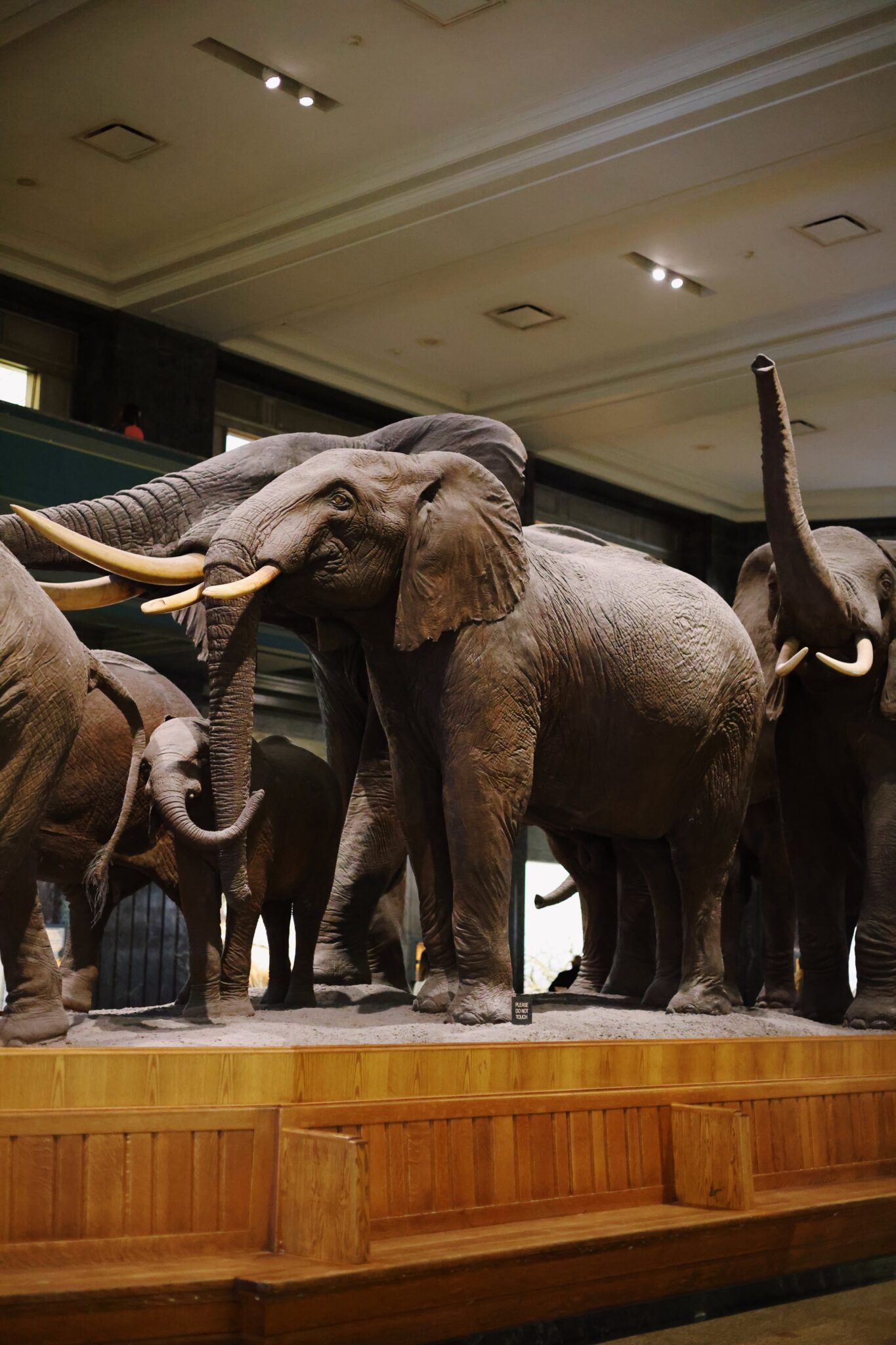HOW MANY EXHIBITS ARE IN THE NATIONAL MUSEUM OF NATURAL HISTORY visual data 7