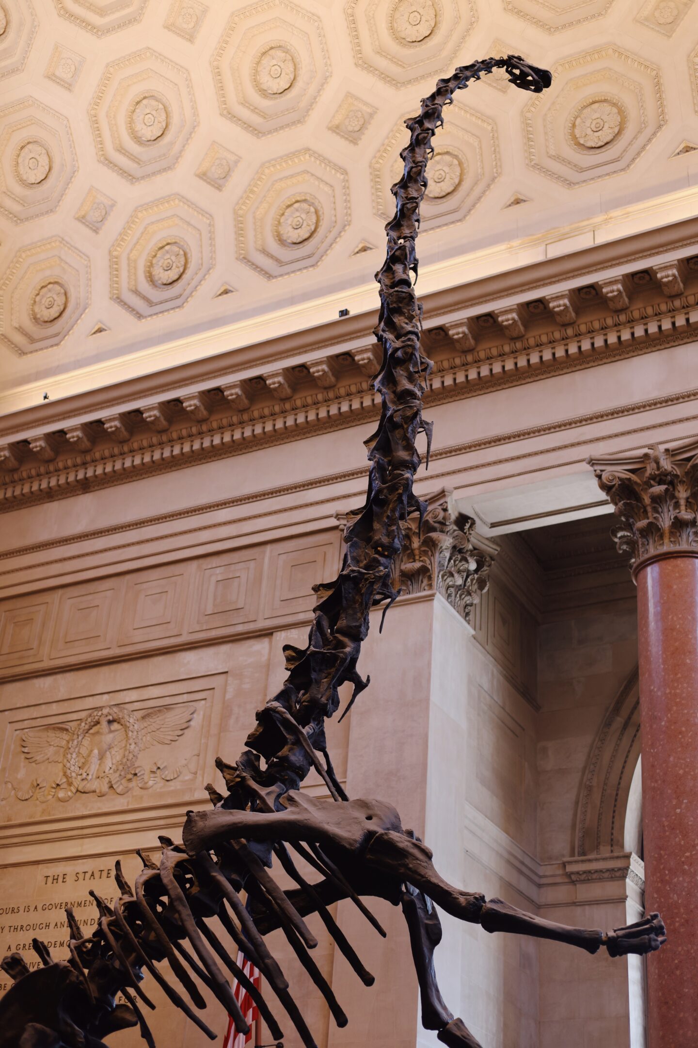 Guide-American-Museum-Natural-History-Tickets-Hours