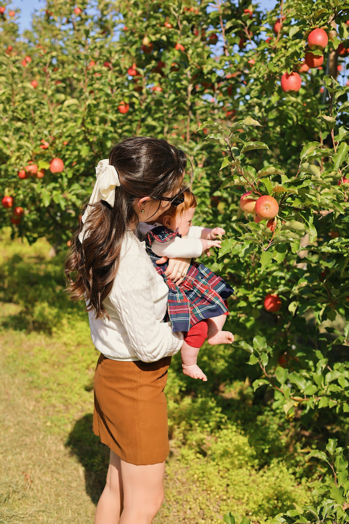 Best-Apple-Orchards-NYC