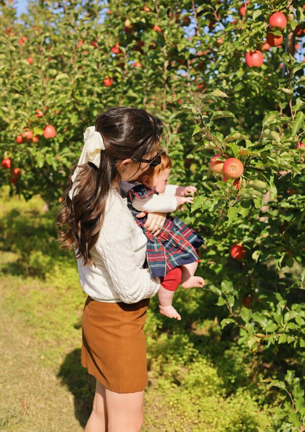 6 Amazing Apple Orchards Near New York City