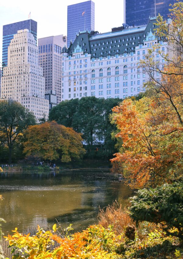 Central-Park-foliage