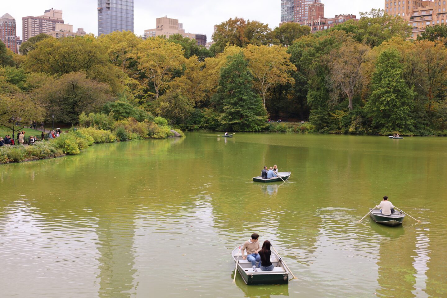 boats in Central park