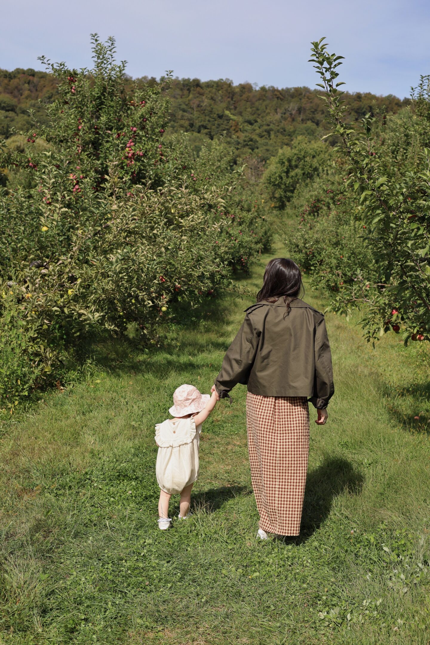 apple picking near nyc