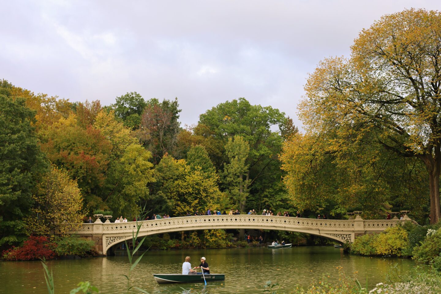 Bow bridge in central park