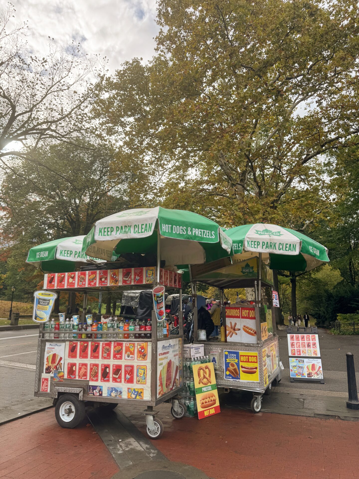 Central park nyc