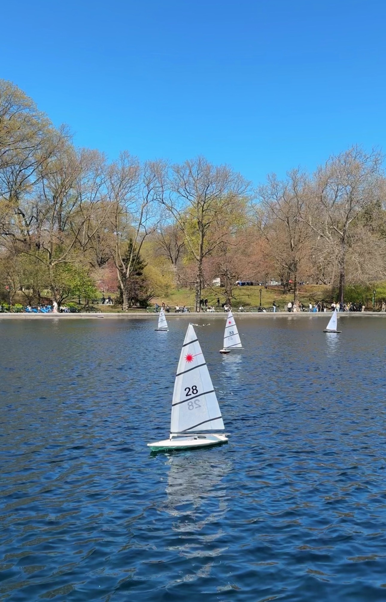 Central Park Sailboats