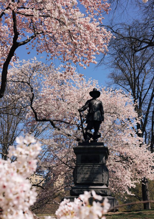 5 Fun Things to Do in Central Park this Spring
