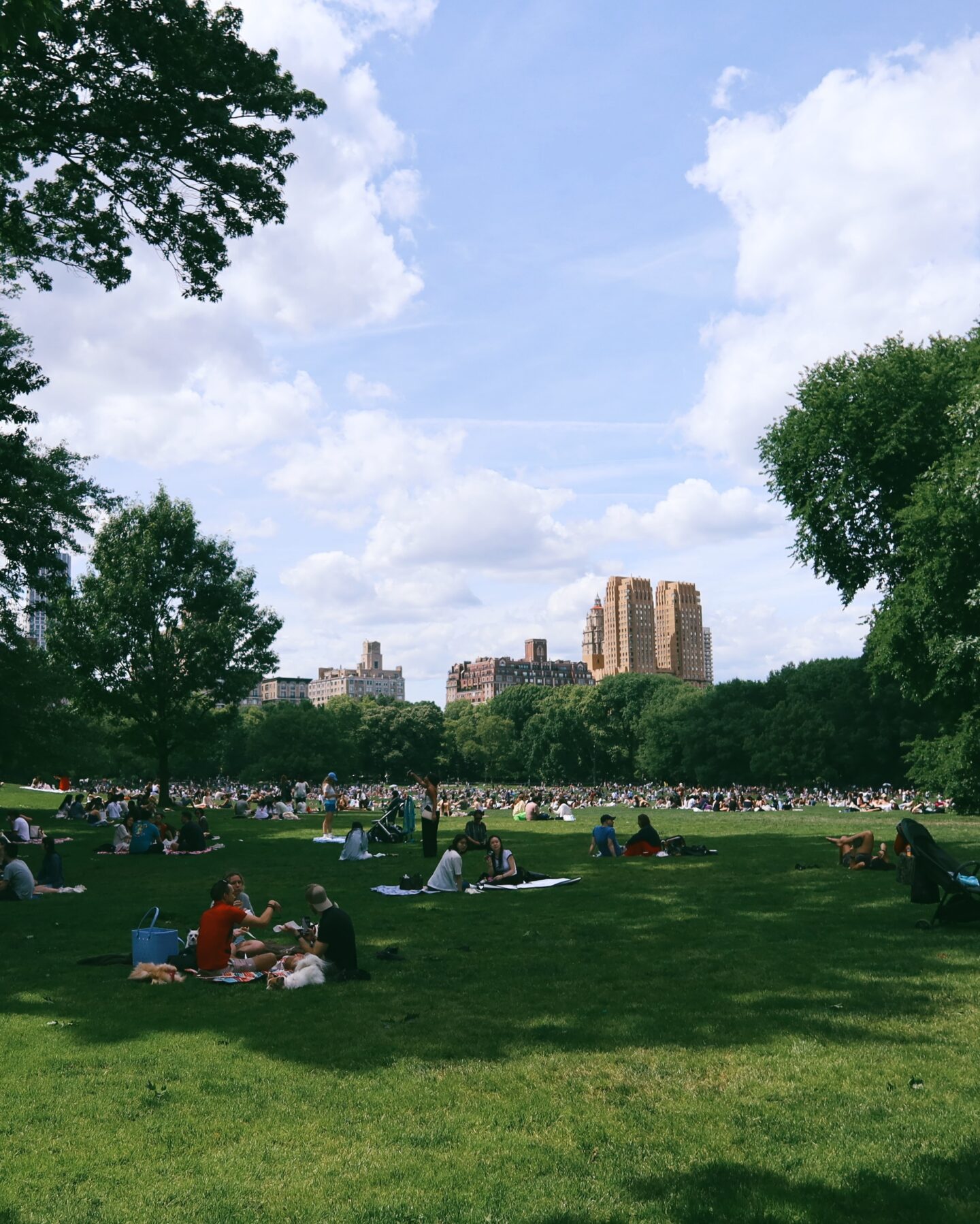 Sheep Meadow in Central Park