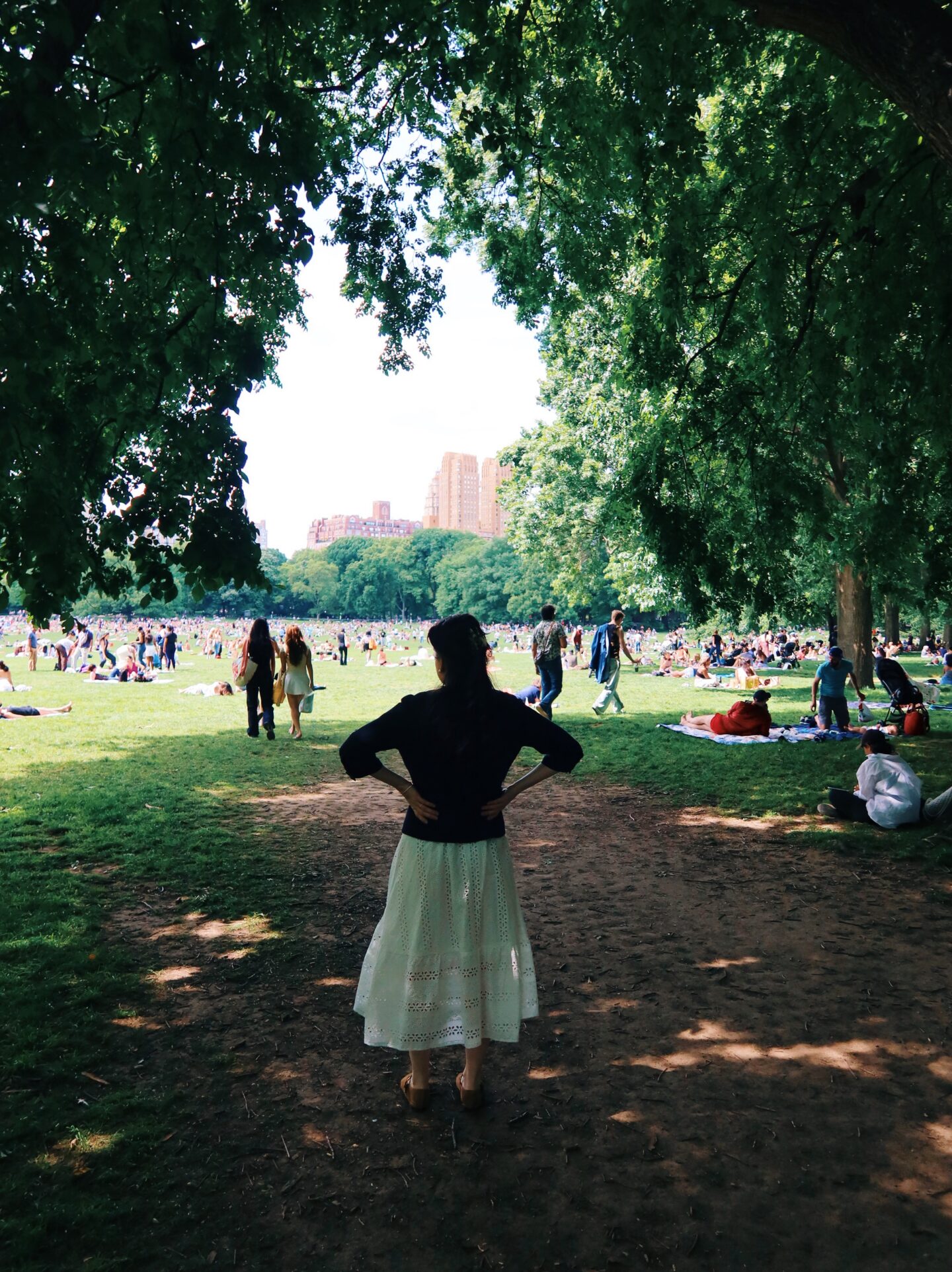Best picnic spot Sheep Meadow in Central Park