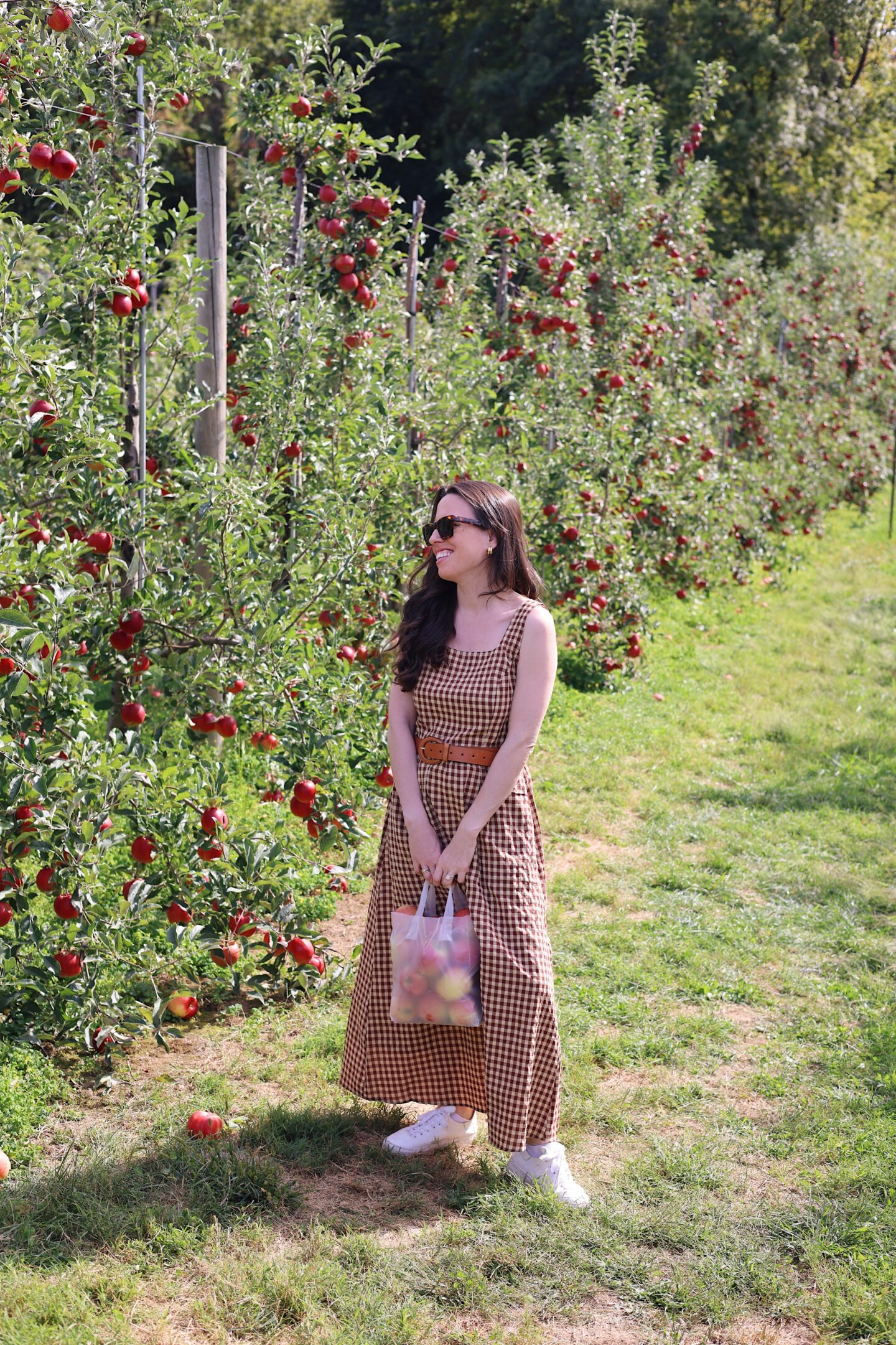 Apple picking near NYC