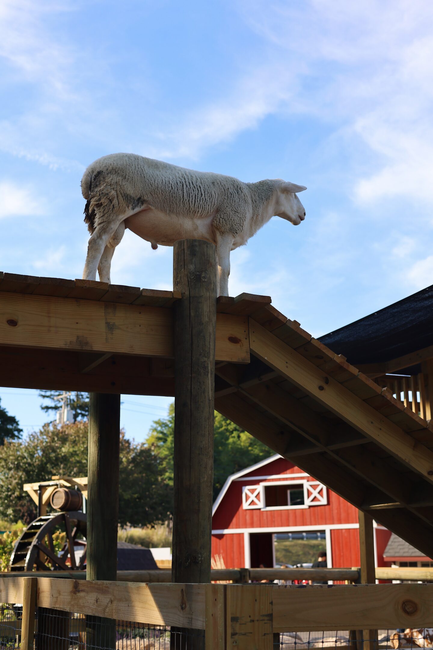 Demarest Farm near NYC