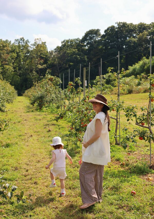 Apple orchard near NYC