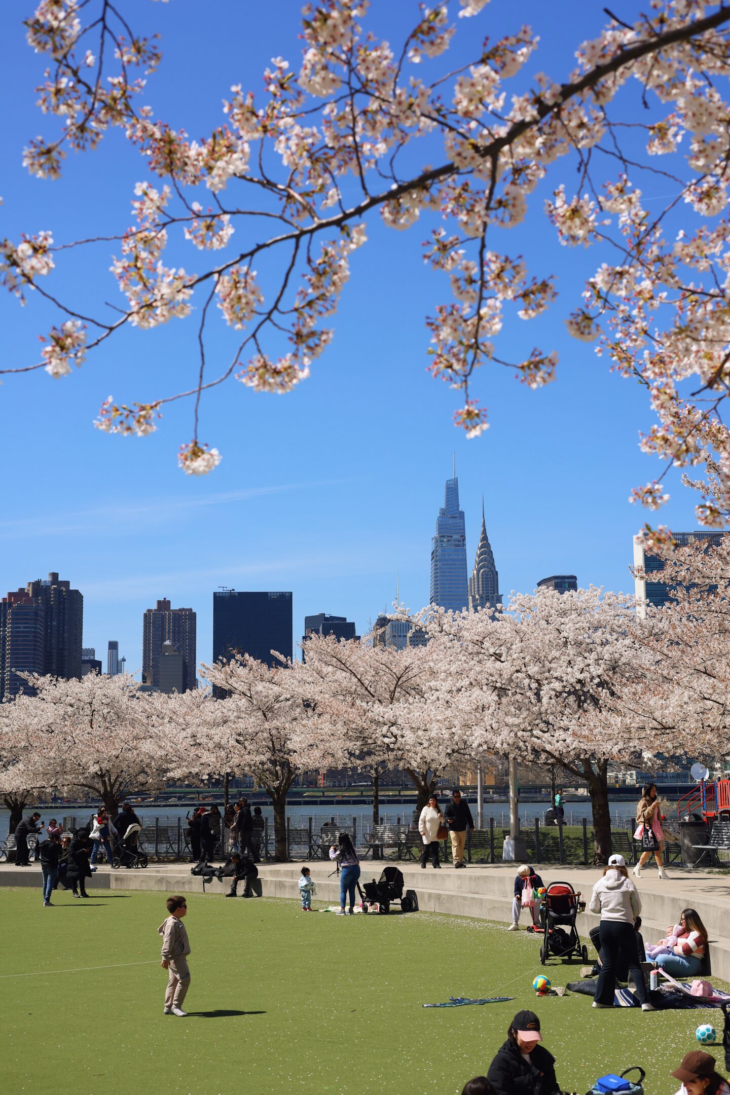 Long Island City things to do with kids