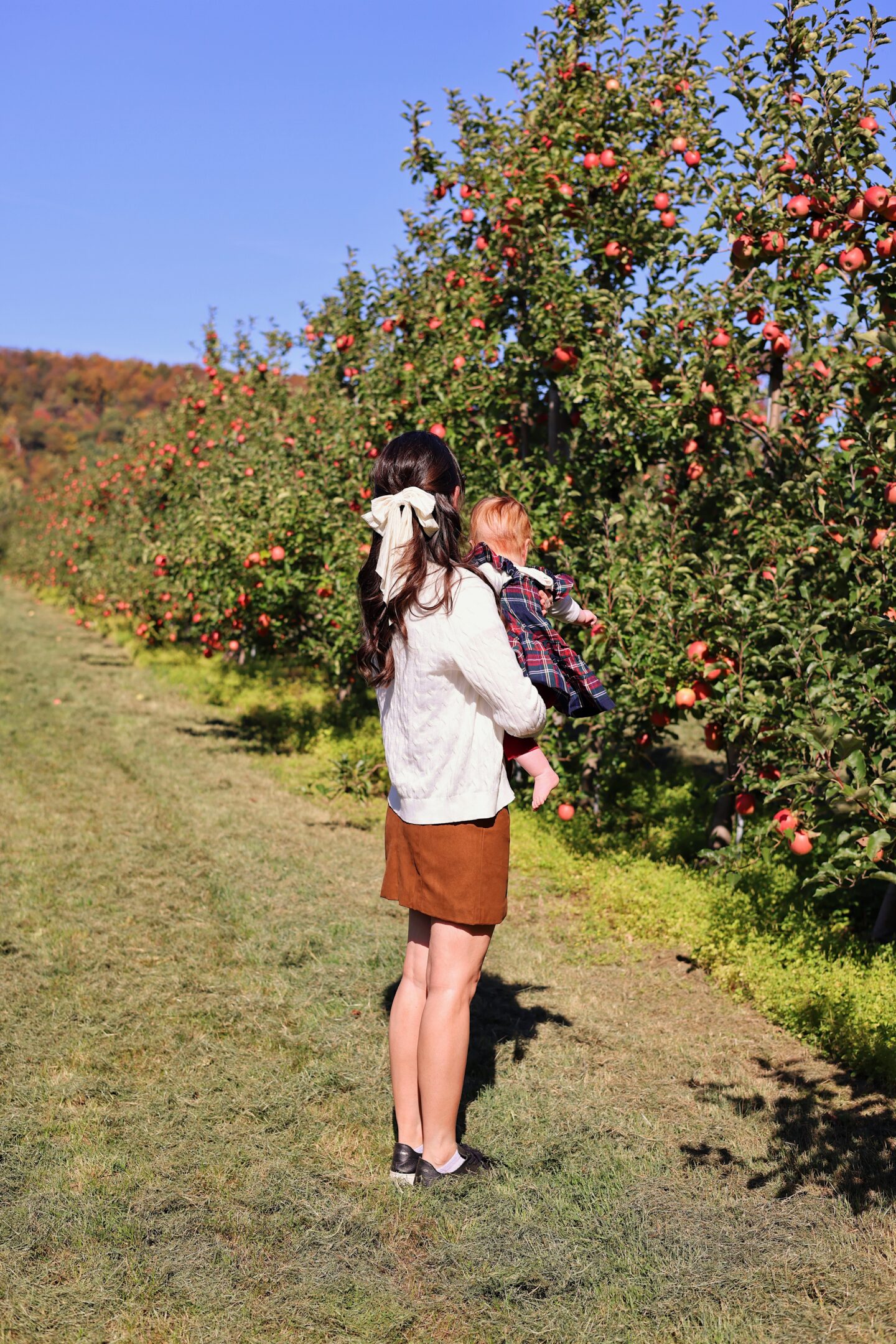 Best Apple Picking near NYC