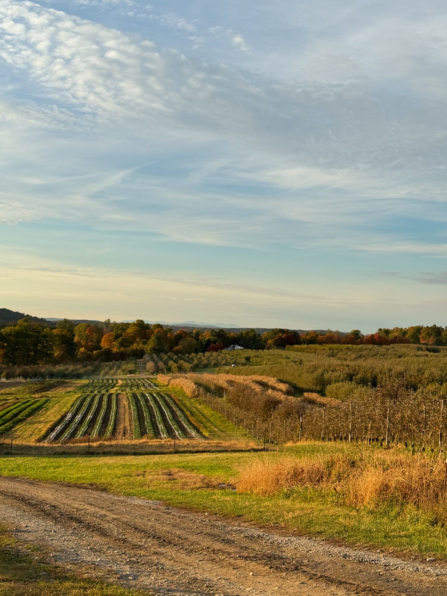 Fishkill Farm in New York