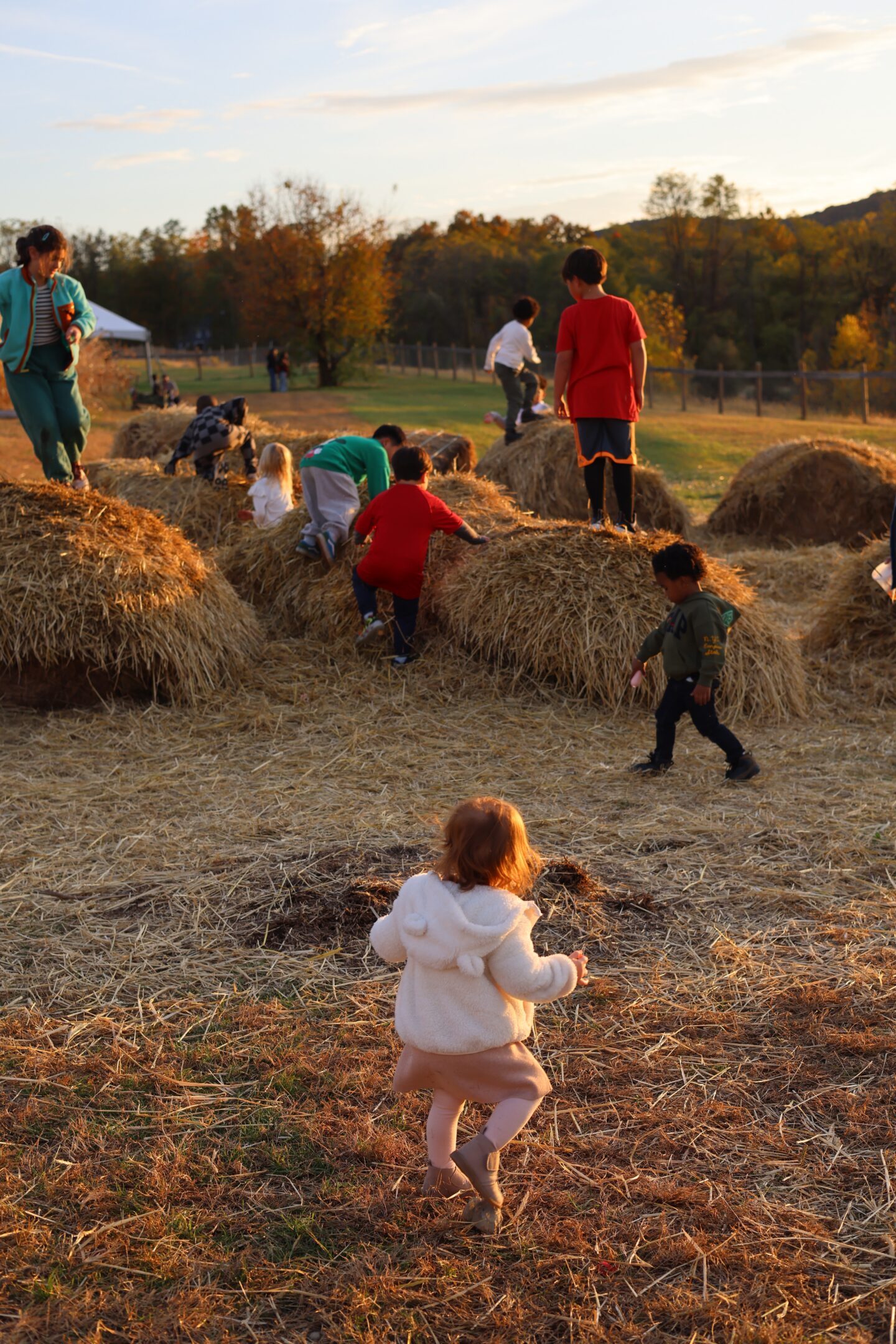 best apple orchard in new york city