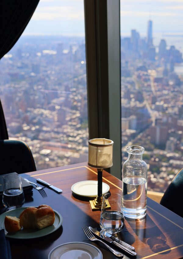 NEW YORK CITY view